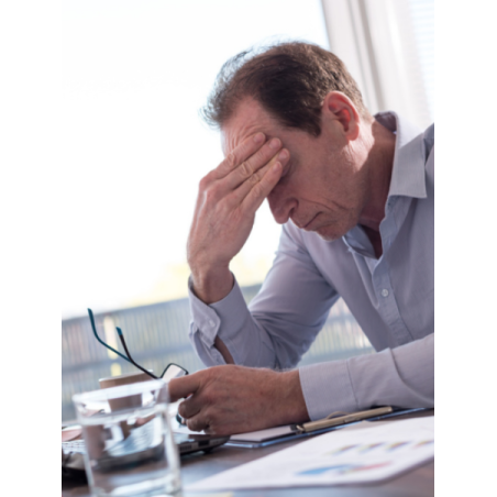 Videoaufzeichnung Online-Fachseminar III - Nebenniere 2025 - Markt-Apotheke Greiff